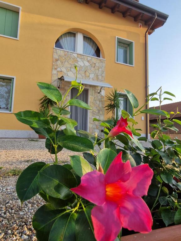 Agriturismo Fiore 1