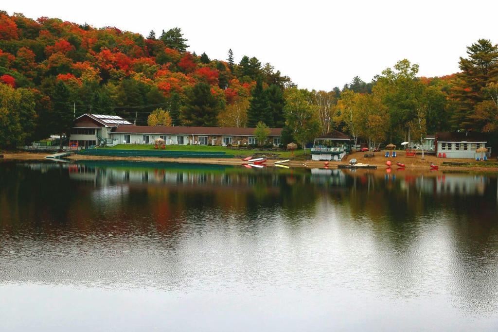 Algonquin Lakeside Resort 1