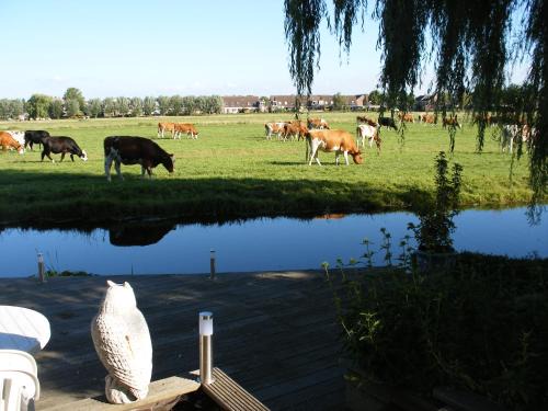 B&B-Edam 1