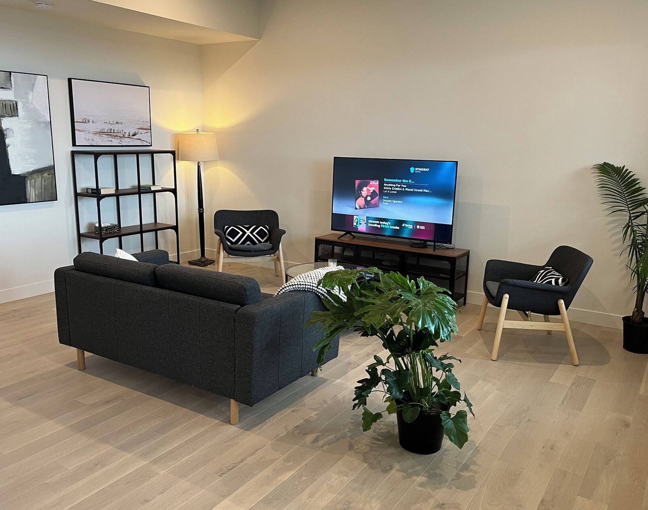 Beautiful, bright and brand new suite-apartment 1