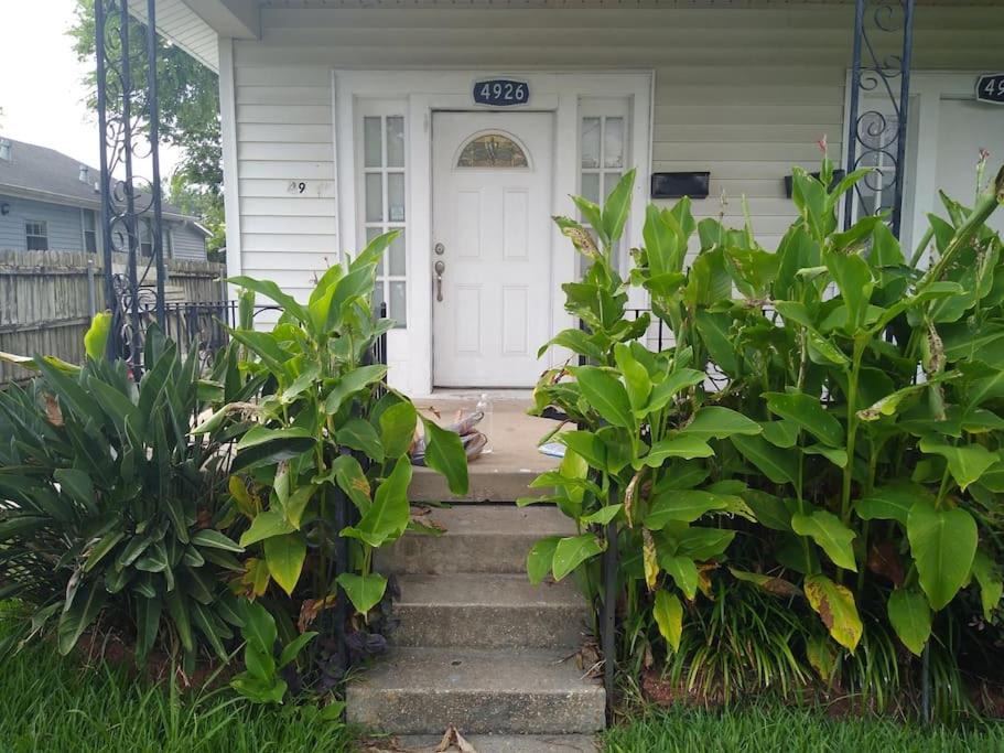 Buttermilk Drop in Gentilly 1