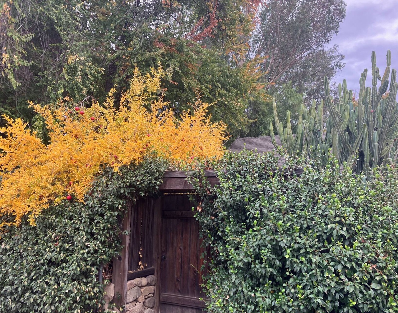 Charming 2 bedroom home with loft and guest house in serene downtown Ojai 1