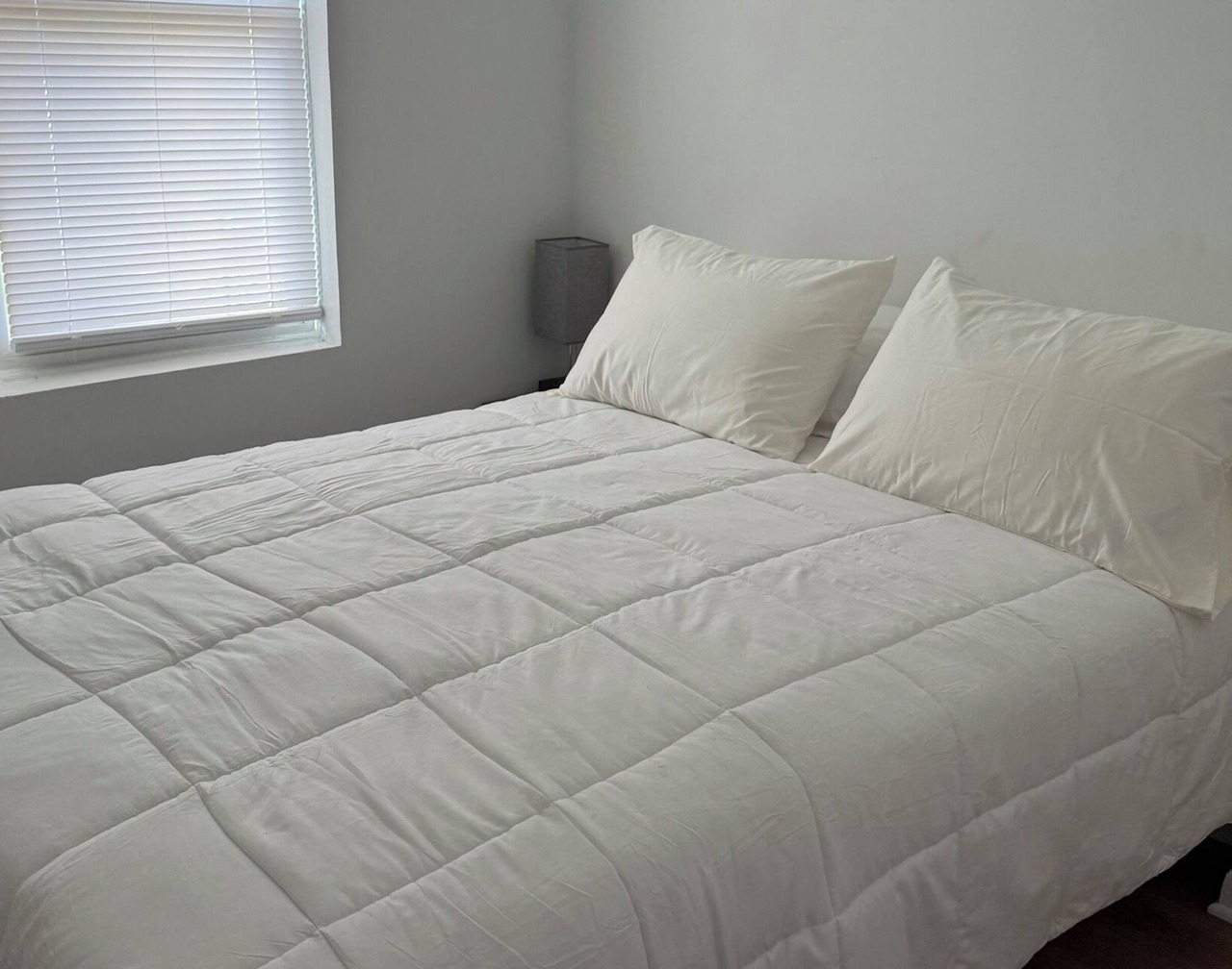 Cozy 1-bedroom apartment in vibrant DC neighborhood walkable to popular H-street 1