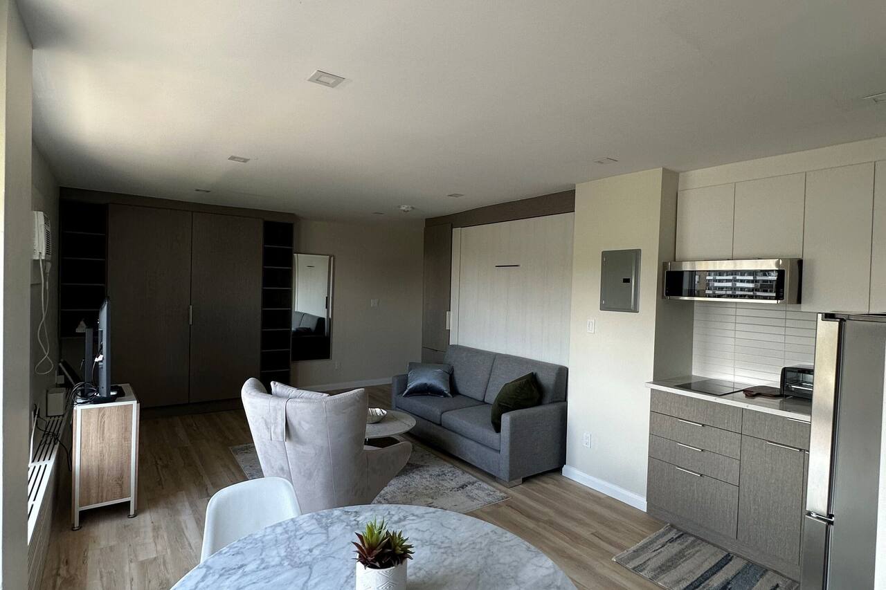 Cozy Modern Centretown Ottawa Studio Near U of O, Restaurants, and Amenities 1