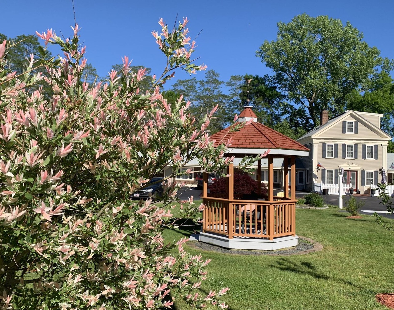 Eagle Wing Inn - Cape Cod 1
