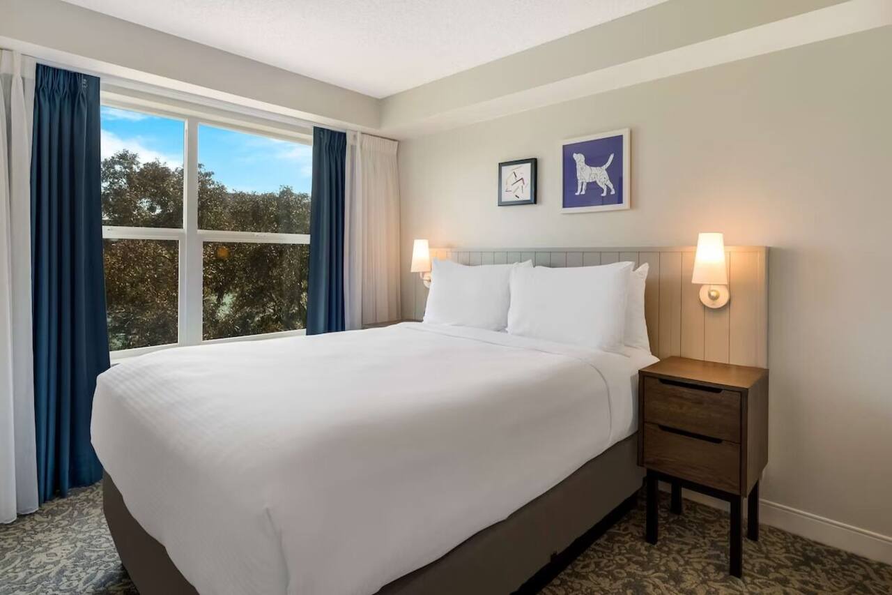 Explore the City! Studio Suite w/Free Breakfast, Free Shuttle, Full Kitchen! 1