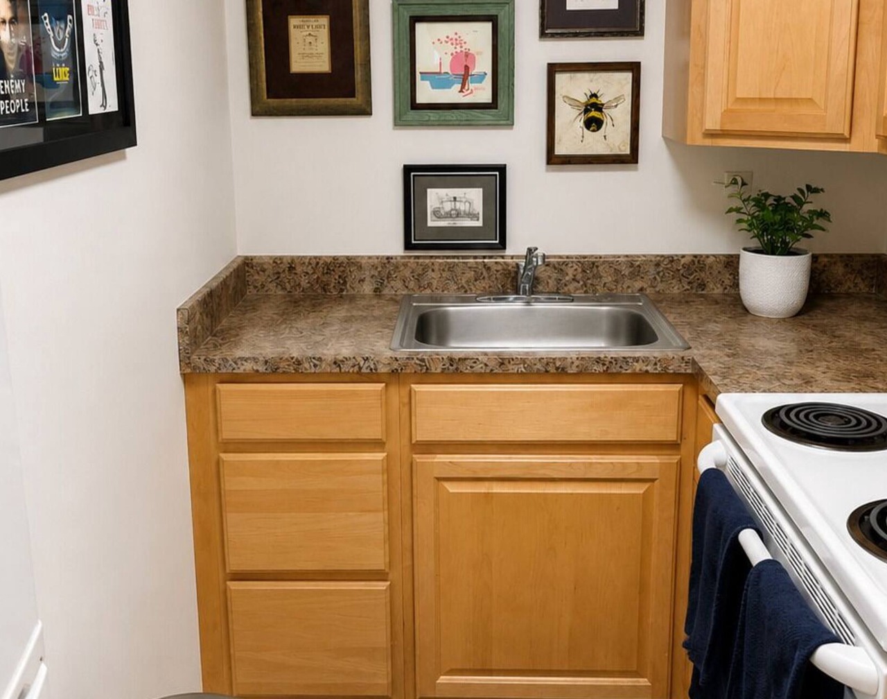 Georgetown Studio Furnished English Basement 1