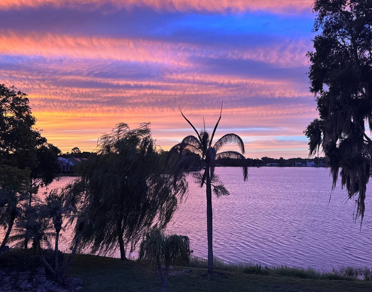 Lakefront Artist's Studio- Relax in Luxury! 1