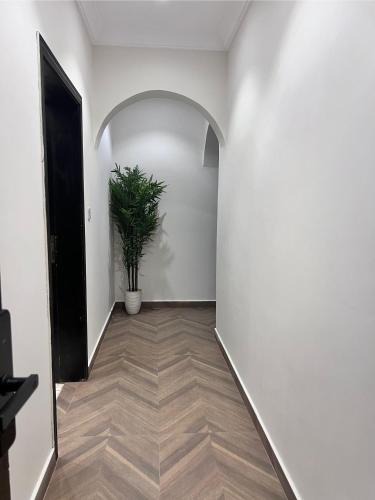 modern apartment in allzahra 1