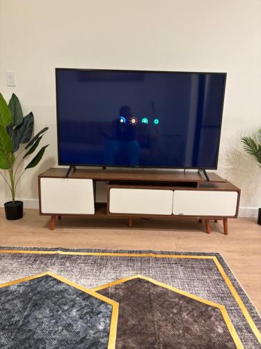 Modern luxury 1