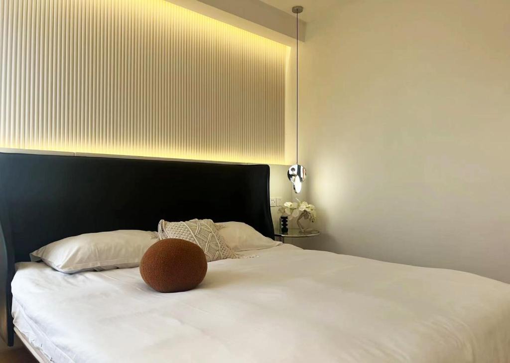 Molly House- Near Nanjing East Road,2-Bedrooms with Elevator, 2 bathrooms,1 bathtub , Near the subway 1
