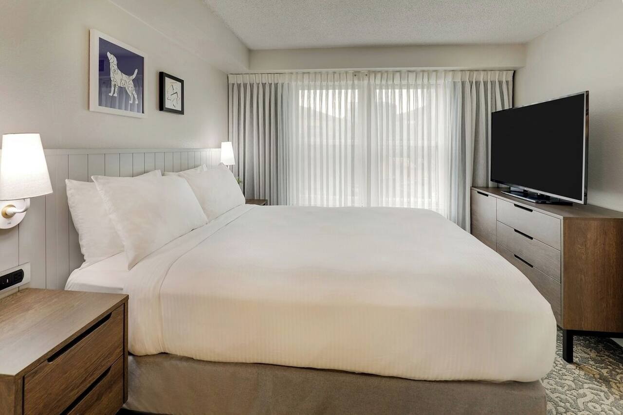 Pet- friendly Suites with Free Breakfast in Great Location Near Black's Beach! 1