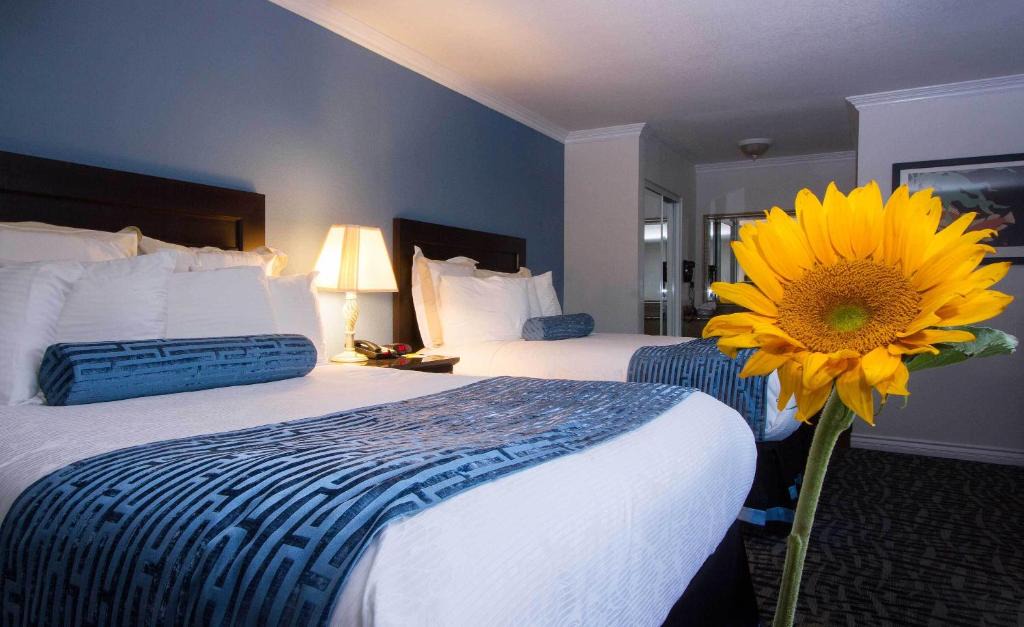 Regency Inn in Los Angeles 1