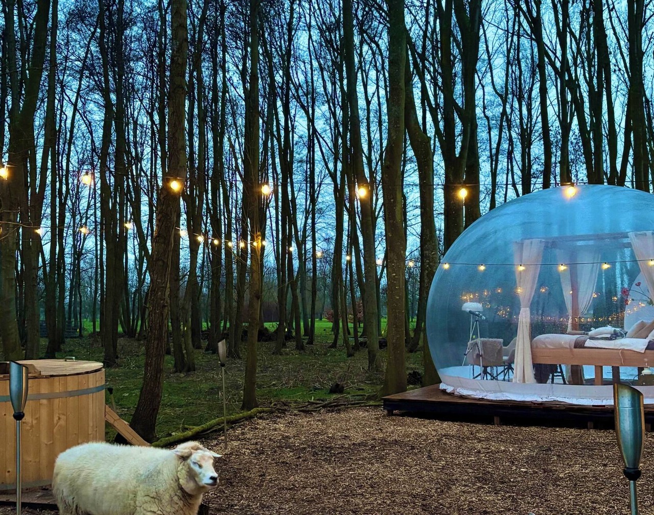 Skyview Bubbletent – Nature, luxury & stargazing just 20 min from Amsterdam 1
