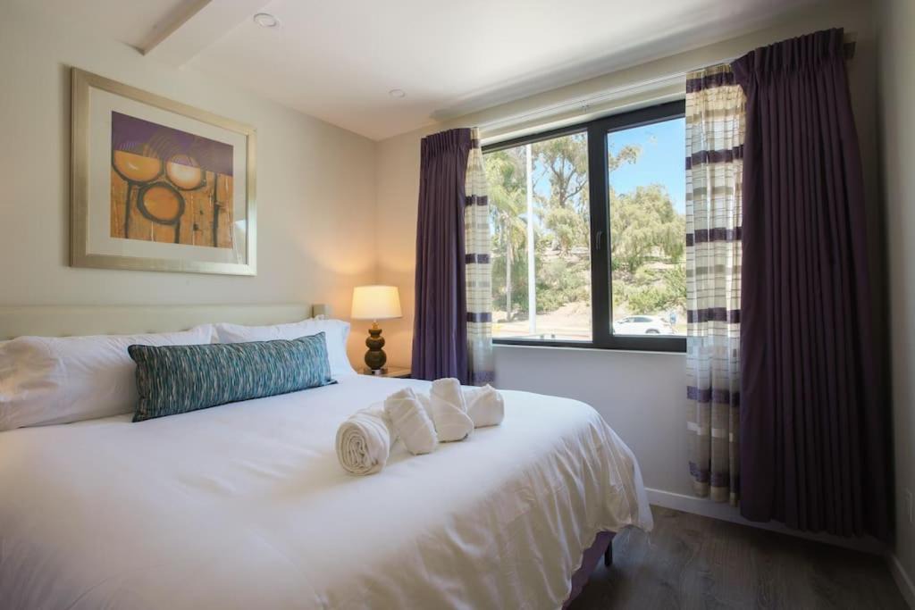 Spacious 500 sqft Studio with Balboa Park View 1