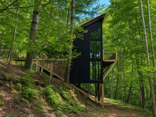 Treeangle Treehouse 1