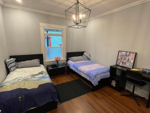two twin beds 230sf 1