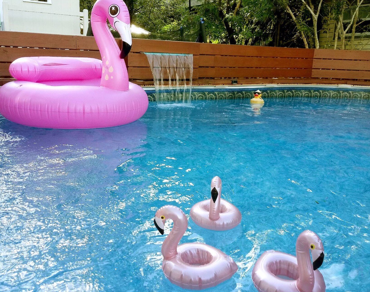UPTOWN OASIS W PRIVATE, HEATED POOL, Minutes to all New Orleans' top attractions 1