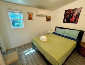 1 BR Apartment with Courtyard walking distance to Magazine street Art District 2