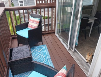 #1 Dog Friendly Location at the Beach. 1 minute walk to the Ocean 4