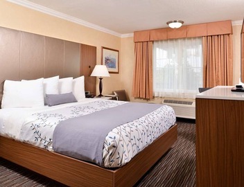 1 King Bed | Near LAX & SoFi Stadium | Gateway to LA Attractions 5