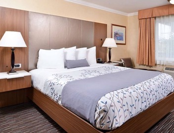 1 King Bed | Near LAX & SoFi Stadium | Gateway to LA Attractions 4