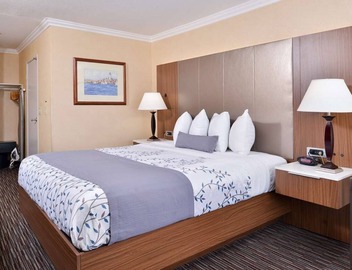 1 King Bed | Near LAX & SoFi Stadium | Gateway to LA Attractions 3