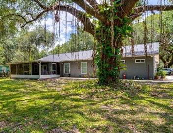 20 Mi to Universal Studios! Secluded 5-Acre Escape 4