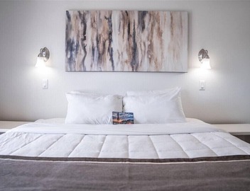 206 Stylish & Comfortable Desert Retreat in Scottsdale's Best Location 5