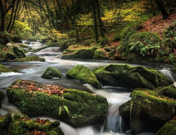 6 Streamside 2