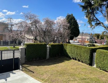 Adorable 2-Bedroom Basement in Vancouver 3
