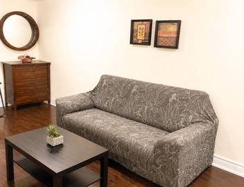 Affordable Spacious Private Suite| Ensuite Bath | Free Parking | Pearson Airport 5