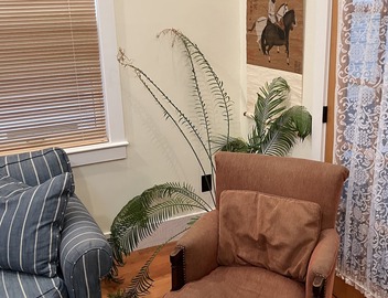 Airy new apt for 2-6. Off-street parking. Walk to shops/restaurants/subway/bus 5