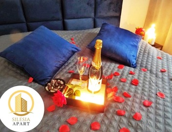 Apartament Granatowy 2