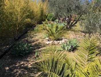 Au Soleil Levant 4