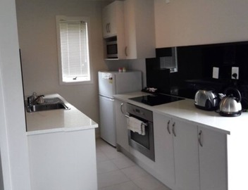 Auckland Phoenix Palm 4