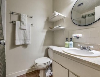 Austin Central Modern Comfort Pet-Friendly 3