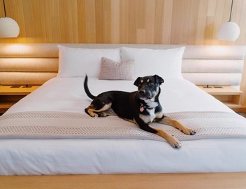 Azure Sky Hotel - Adults Only - A Town & Desert Boutique Hotel 2