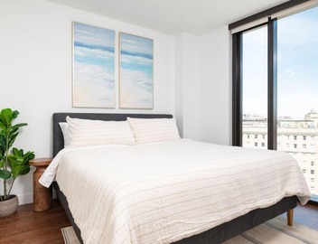 Back-Bay Upscale Central Penthouse W Roof-top 2
