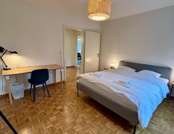 Basic Apartment in Witikon district 2