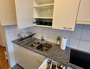 Basic Apartment in Witikon district 4