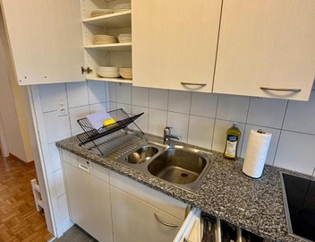 Basic Apartment in Witikon district 5