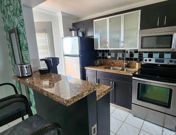 Bayfront Apartment Breathtaking Views- one bedroom w balcony- living room -Free Parking 5