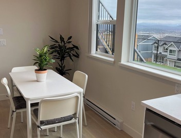 Beautiful, bright and brand new suite-apartment 2