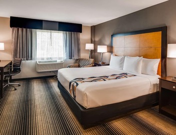 Best Western Plus Hyde Park Chicago Hotel 3