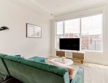 Bright Dupont Circle 2BR w/W/D, nr Restaurants & Bars, by Blueground 5