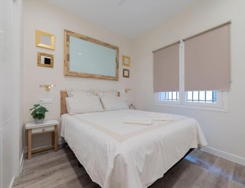 Candido Apartamento en el Corazón de La Latina 4