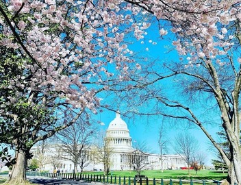Capitol Hill, excellent location, Lower Level Apartment 5
