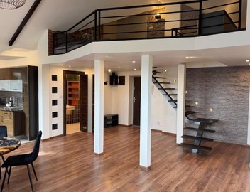 Carpatia Loft 3