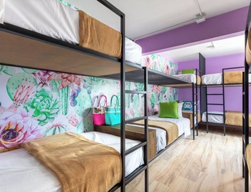 Casa Kanabri, Boutique Hostel in CDMX 2